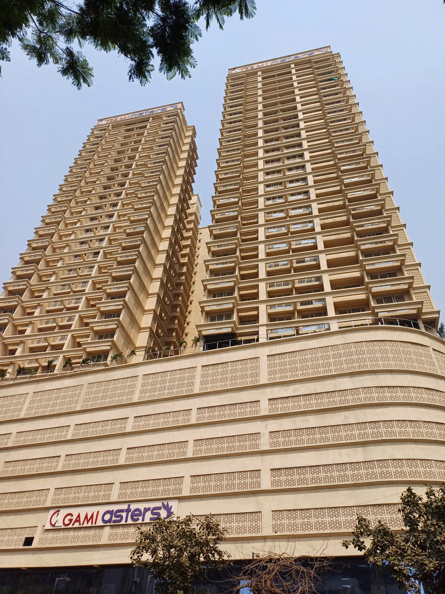 Gami Asters - Gami Asters, Ghansoli