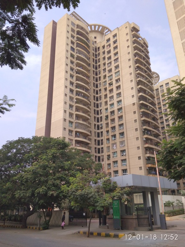 Vinca, Powai