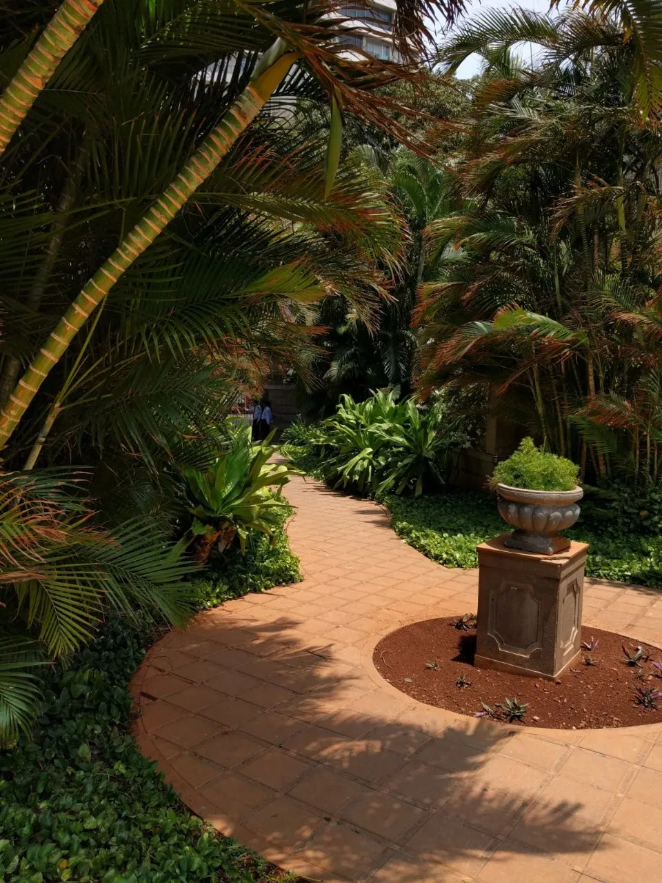 4 Flats on Rent in Raheja Sunkist, Bandra West