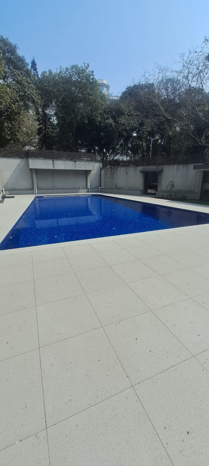 1 BHK Flats on Rent in Anita, Walkeshwar