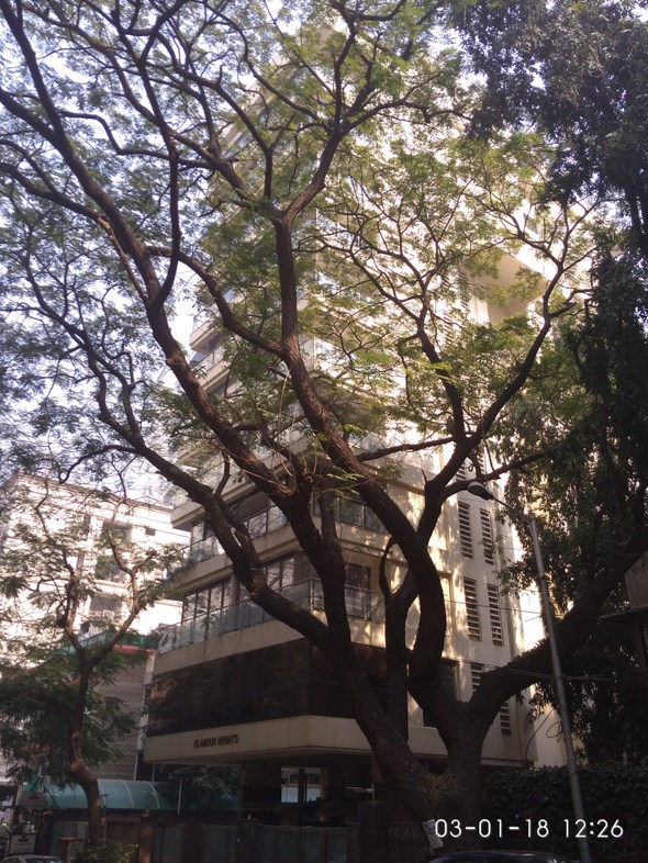 4 BHK Semi Furnished in Glamour Heights , Khar West