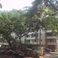 3 BHK Flats on Rent in PEMINO, Altamount Road