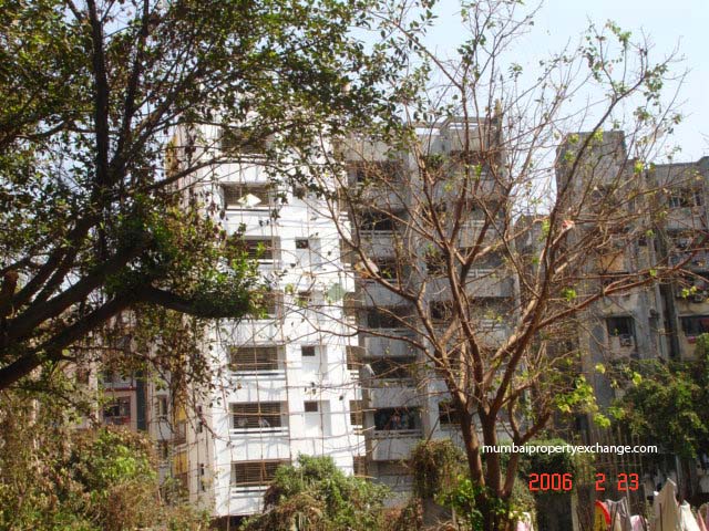 3 Jeevan Anand, Kandivali West — for Sale — photo 3