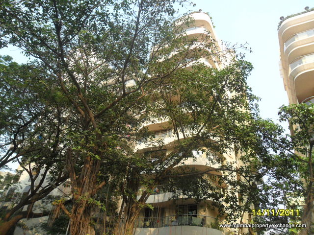 3 Ever Glades, Bandra West — for Rent — photo 7