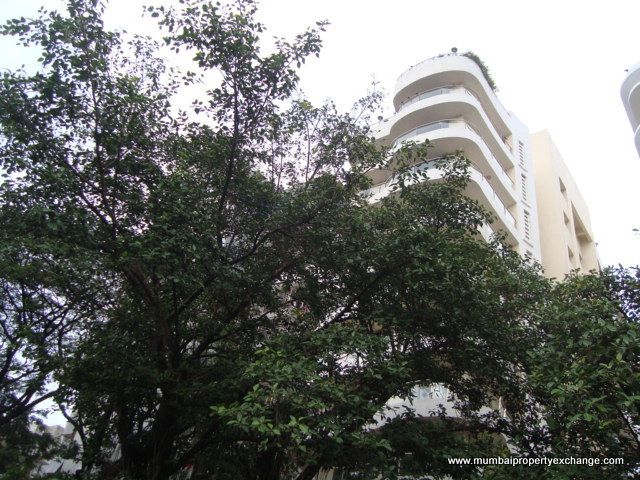 3 Ever Glades, Bandra West — for Rent — photo 6