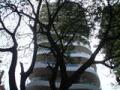 3 BHK Ever Glades, Bandra West — for Rent