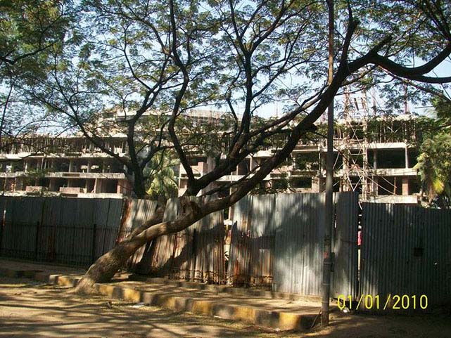 3 BHK Rajshree Daisy, Chembur — for Sale — photo 7