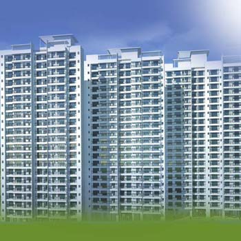 Everest World Phase IV