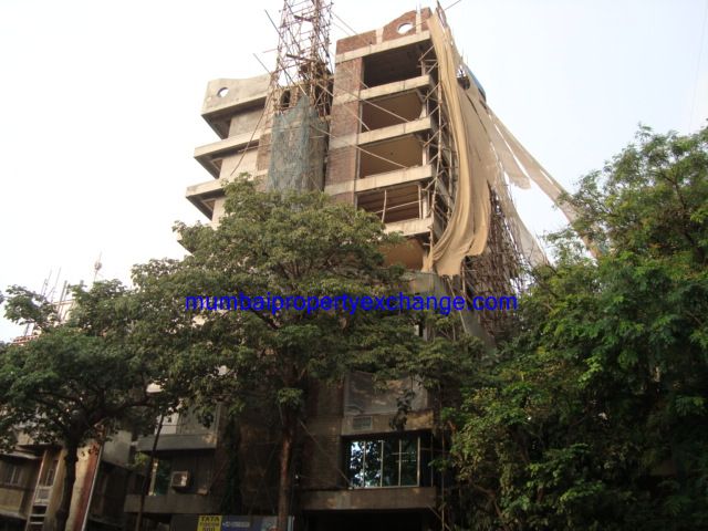 3694 Oth 7 Oct 2008 - Ornate Galaxy, Dadar East