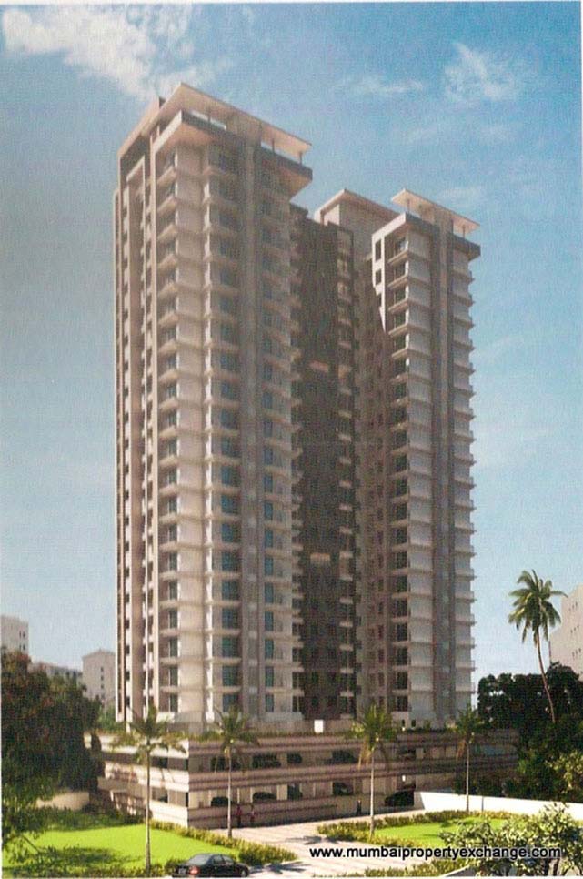 Hicons Harmony