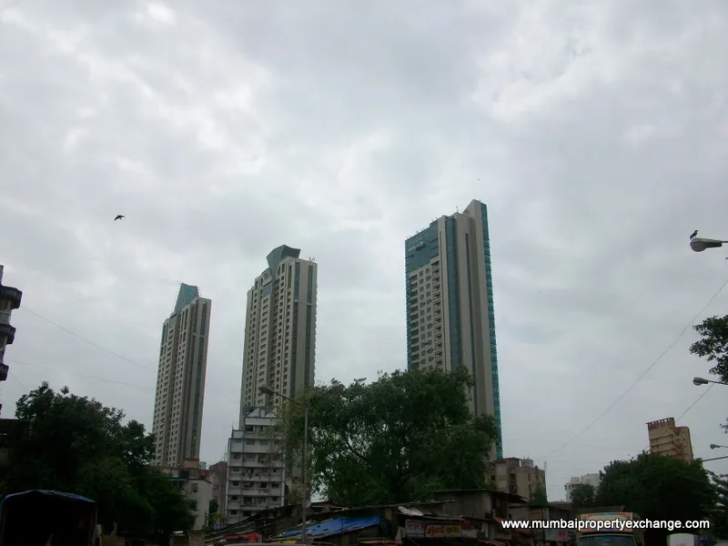 28 July 2009