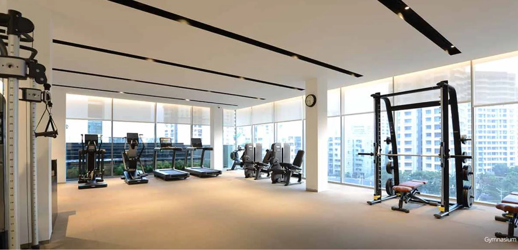 Prisma Gymnasium Image