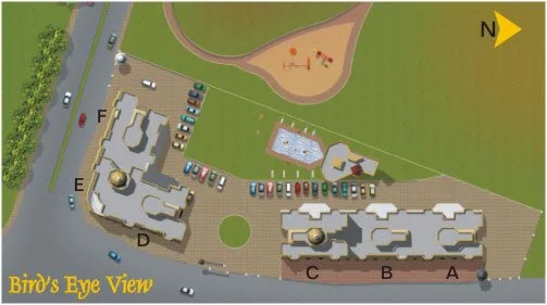 Layout