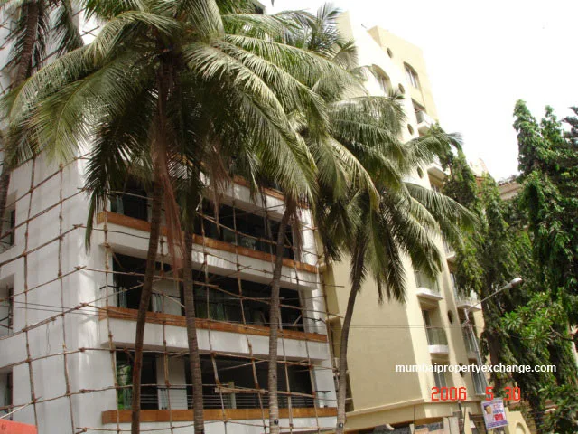 31 May 2006