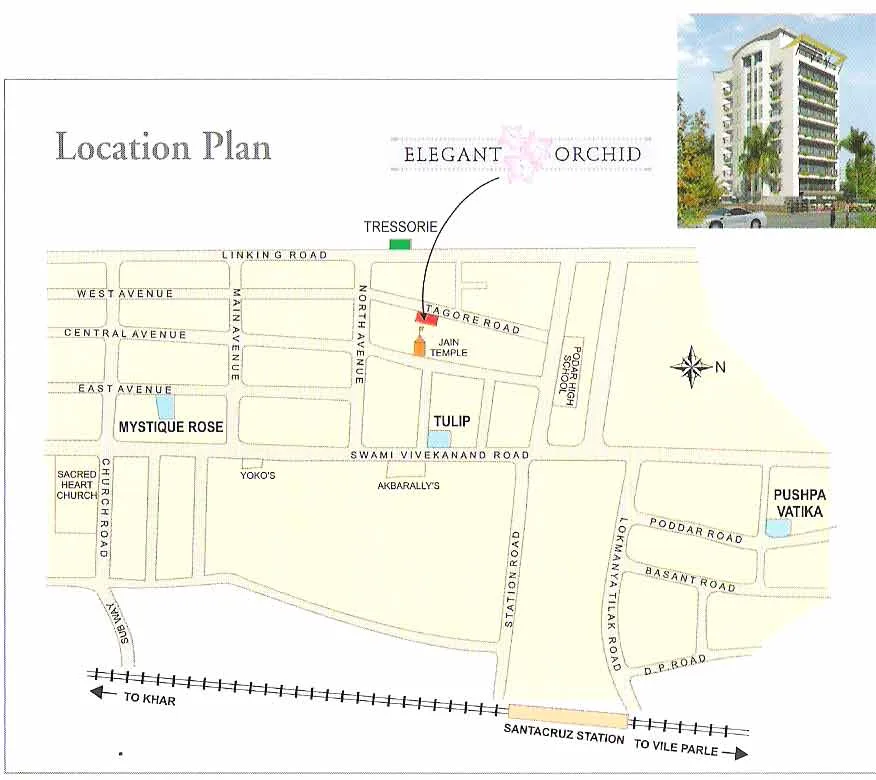 Site Plan