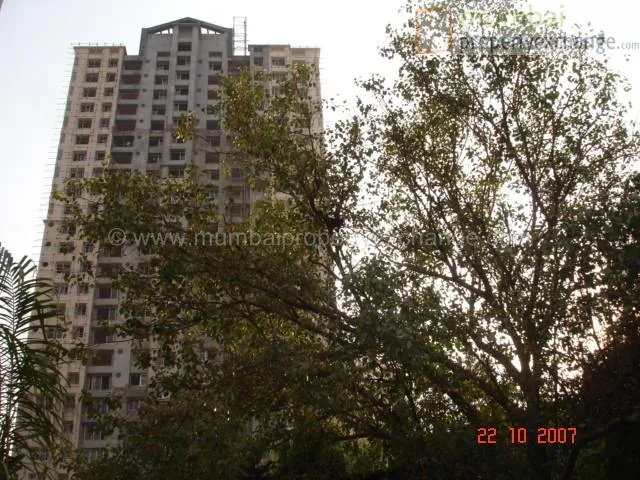 25th Oct 2007