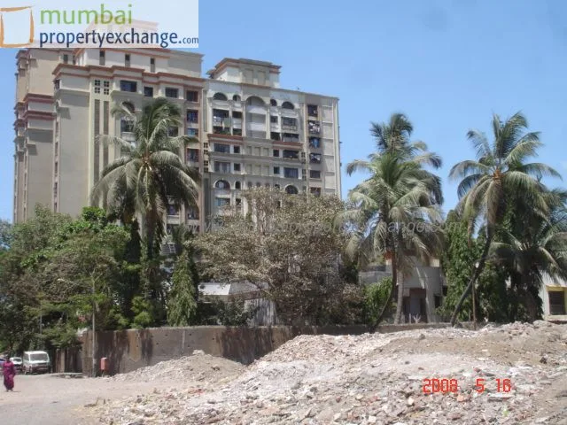 19 May 2008