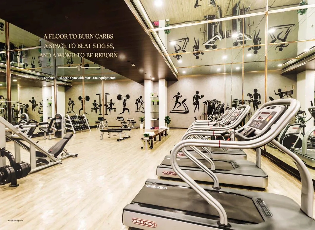 Trinity Vertical Sapphire Gymnasium