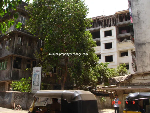 19 May 2006