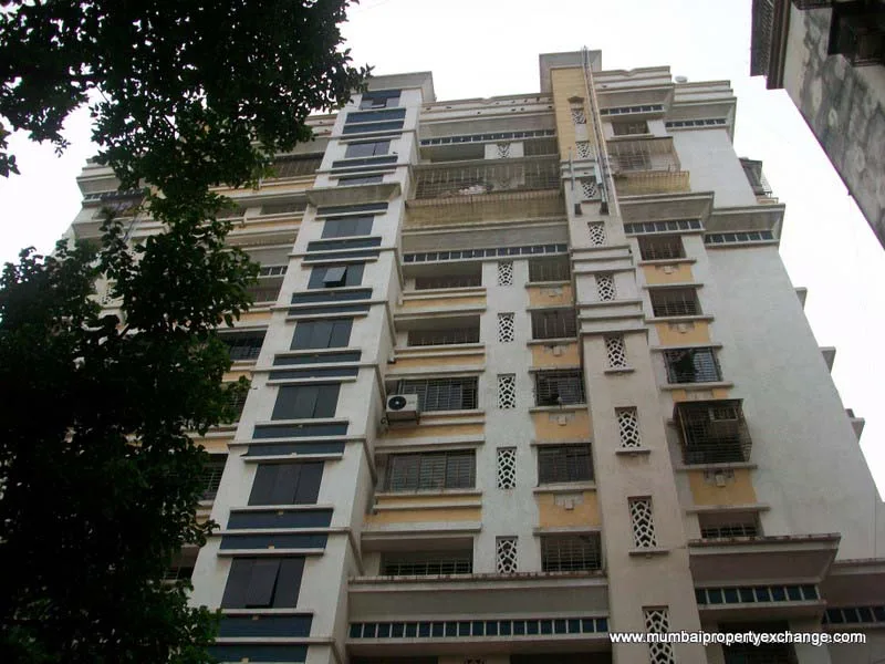 20 July 2009