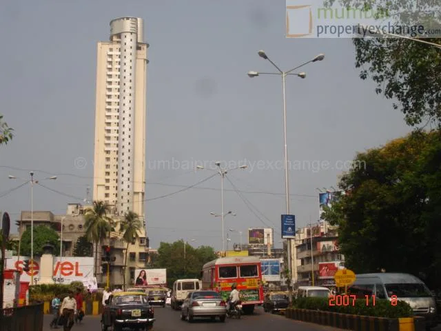 8 Nov 2007