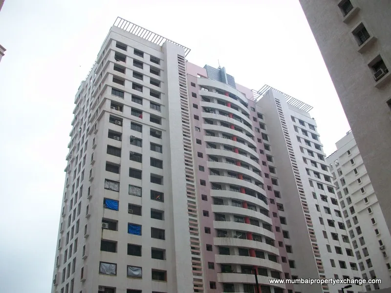 25 July 2009