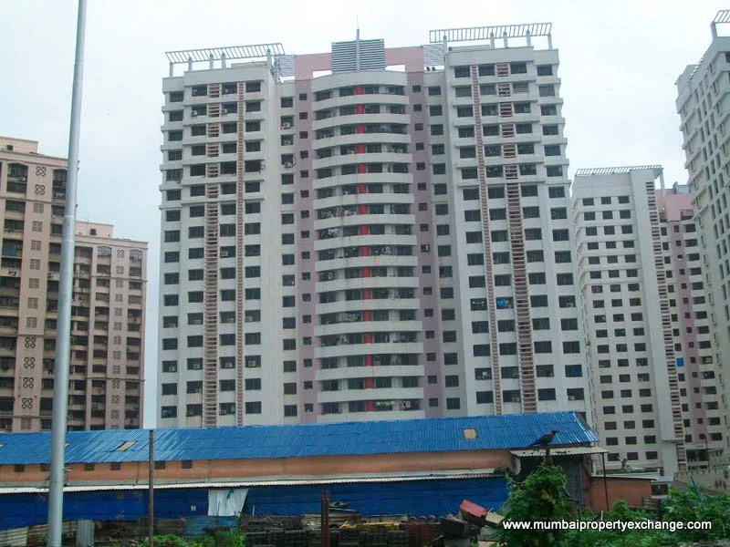 25 July 2009