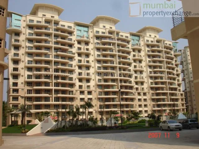 Main Image