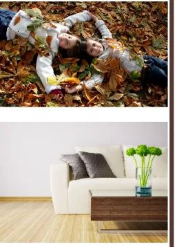 Neminath Rosebud Image2