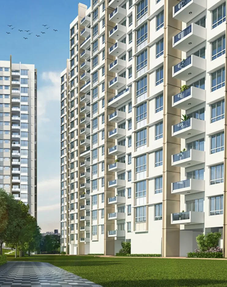 Vicinia Elevation Image-1