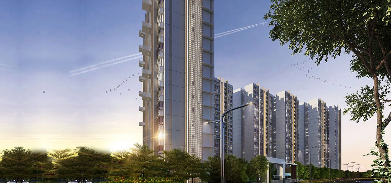 Vicinia Elevation Image-3