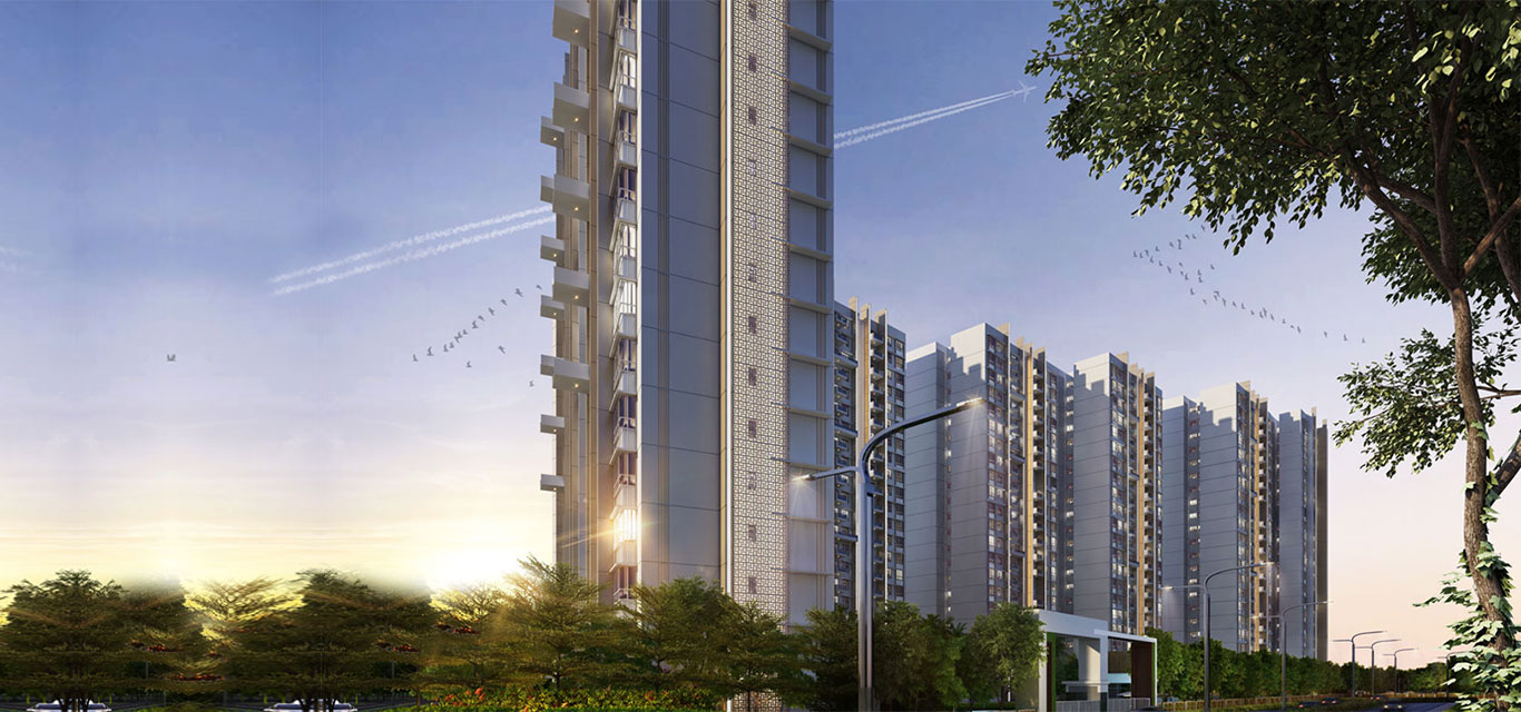 Vicinia Elevation Image-3