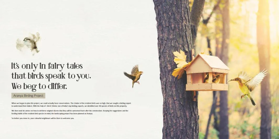 Tridhaatu Aranya Image-20