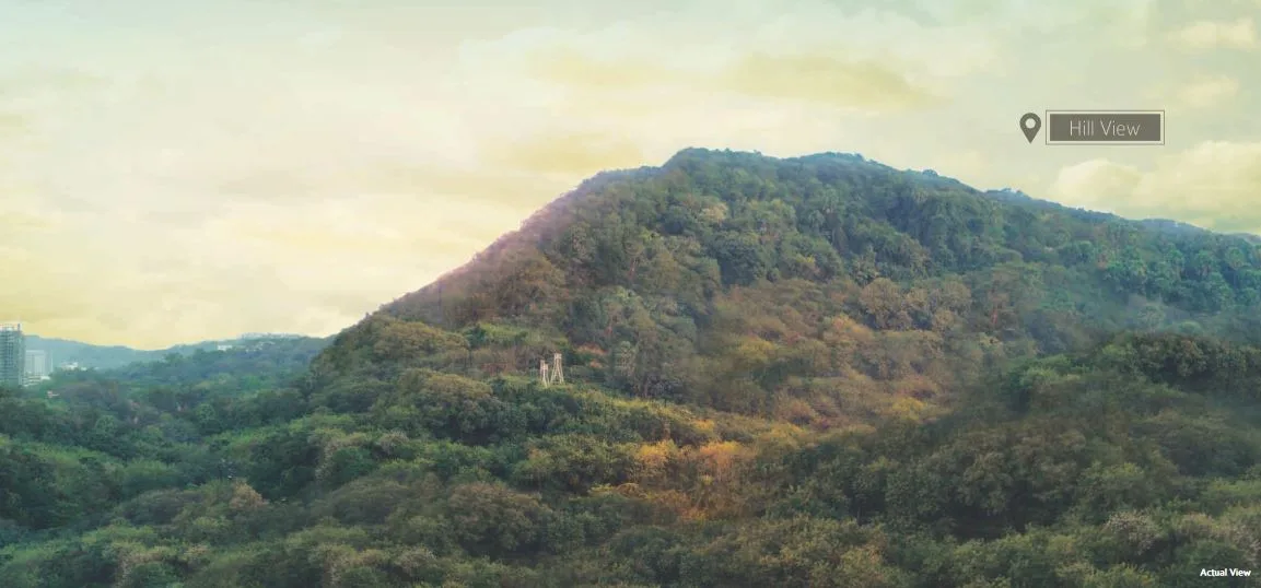 Tridhaatu Aranya Image-6