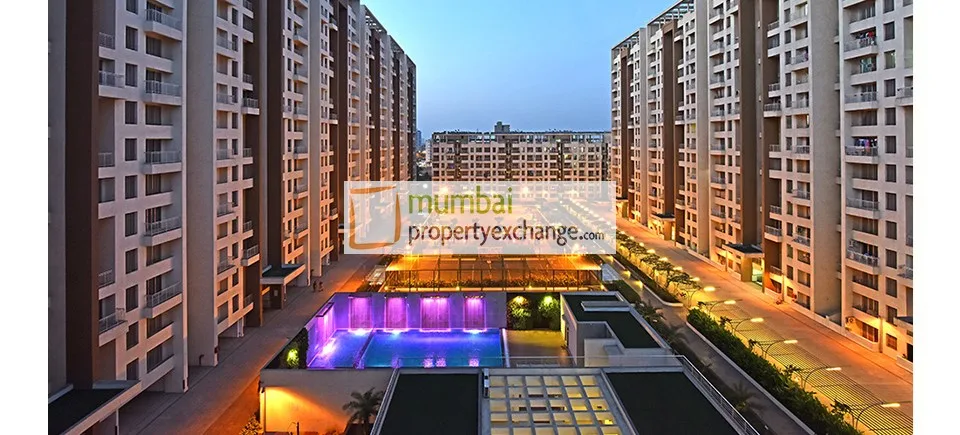 Evening view