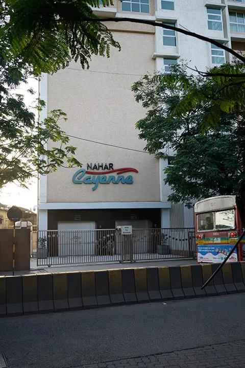 Cayenne Image-1