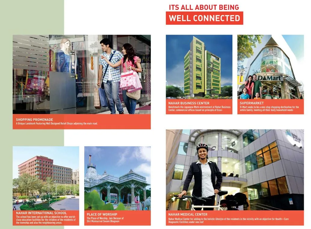 Cayenne Well Conected