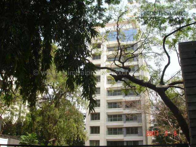 12 March 2007