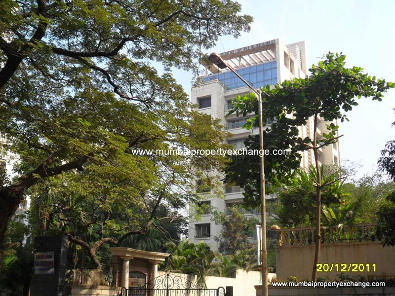17th Dec 2011