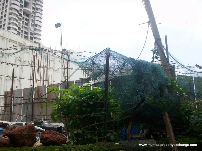 25 July 2009