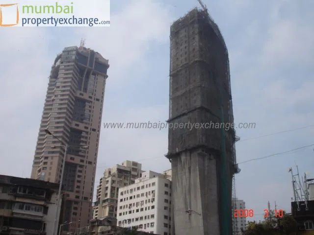 10 March 2008