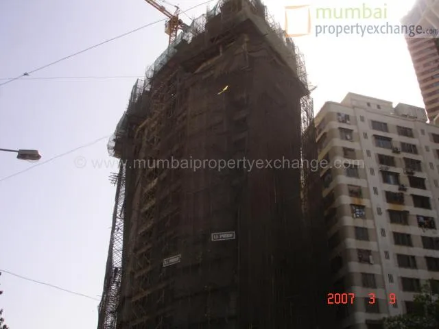12 March 2007
