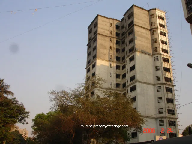 24 February 2006