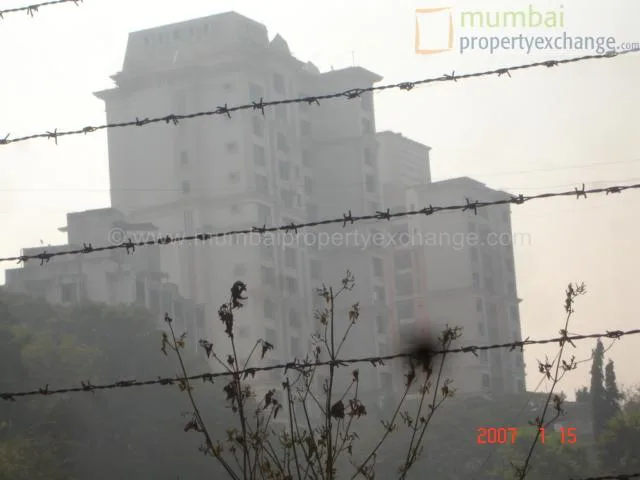 15 January 2007