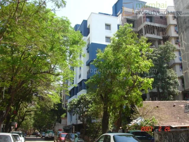 15 March 2007