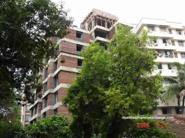 24 July 2006