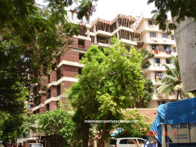 5 June 2006