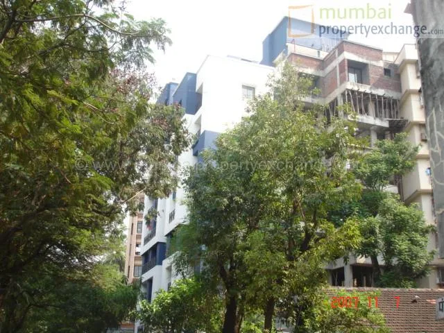 7 Nov 2007