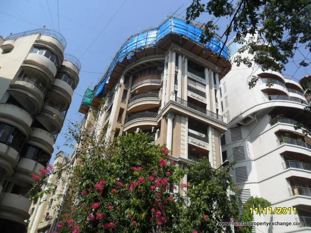 11th Nov 2011