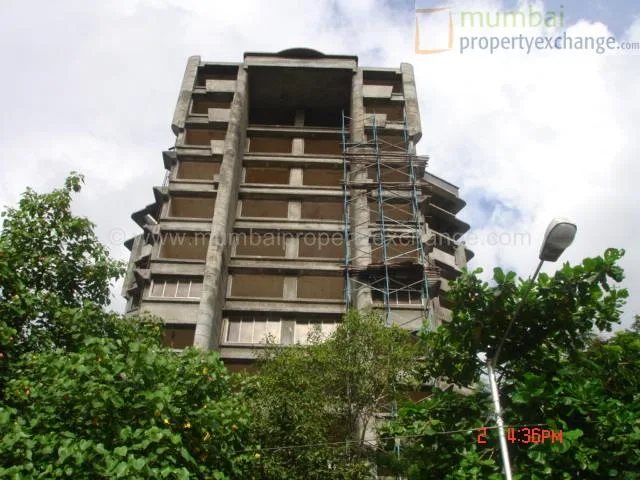 3 September 2006